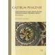 Castrum Pragense 13: Nálezy hmotné kultury z renesančních odpadních jímek z Pražského hradu. Díl I. Katalog 